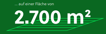 Starkes Team von 60 Beschäftigten